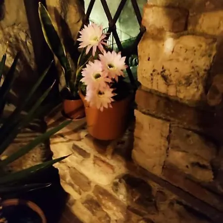 Casa In -